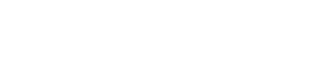 LiteSpeed logo